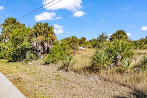 Land in Port Charlotte, Florida № 2155534 - photo 4