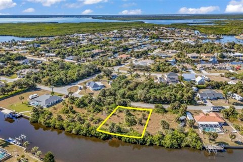 Land in Port Charlotte, Florida № 2155534 - photo 2