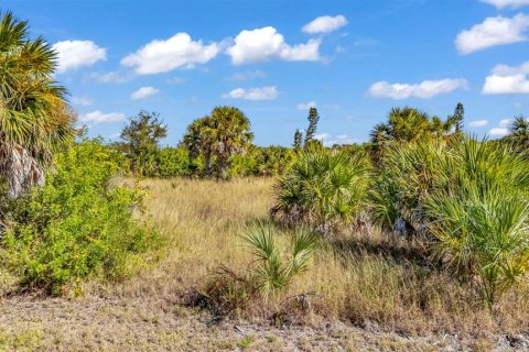 Land in Port Charlotte, Florida № 2155534 - photo 5