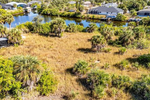 Land in Port Charlotte, Florida № 2155534 - photo 6