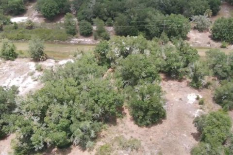 Propiedad comercial en venta en Okeechobee, Florida № 2179058 - foto 2