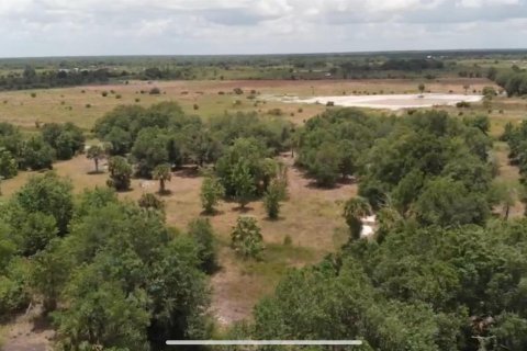 Propiedad comercial en venta en Okeechobee, Florida № 2179058 - foto 3