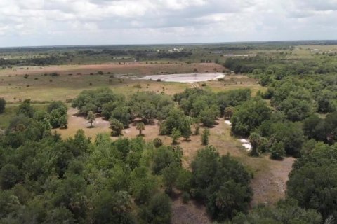 Propiedad comercial en venta en Okeechobee, Florida № 2179058 - foto 4