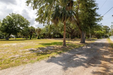 Land in Holiday, Florida № 1900262 - photo 14