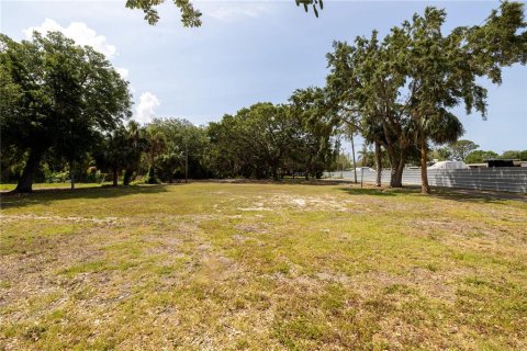 Land in Holiday, Florida № 1900262 - photo 15