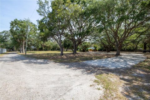 Land in Holiday, Florida № 1900262 - photo 8