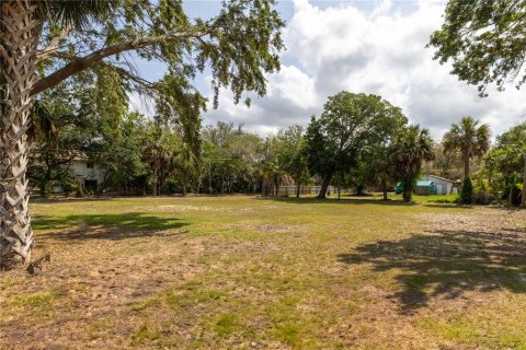 Land in Holiday, Florida № 1900262 - photo 12