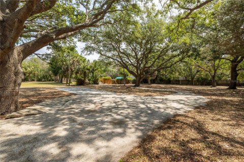 Land in Holiday, Florida № 1900262 - photo 5