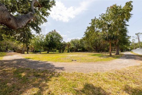 Land in Holiday, Florida № 1900262 - photo 17