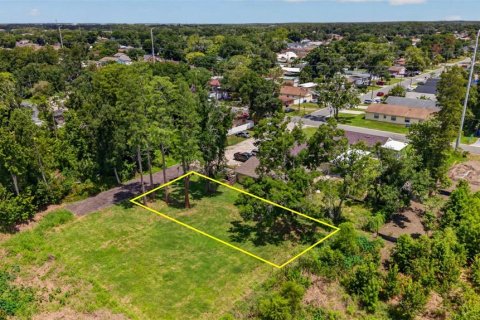 Terreno en Tampa, Florida № 2211063