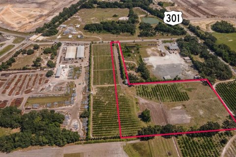Land in Sumter, Florida № 932863 - photo 1