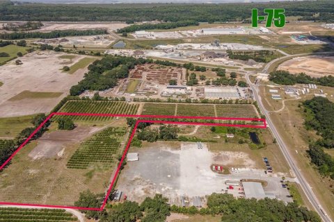 Land in Sumter, Florida № 932863 - photo 3