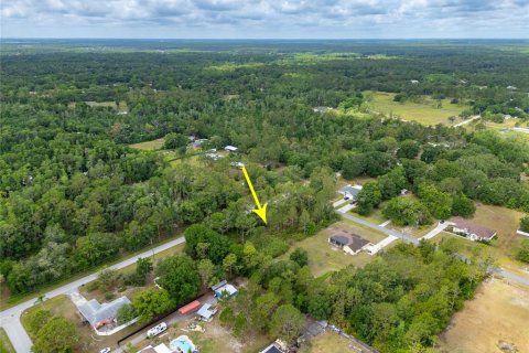 Land in Wesley Chapel, Florida № 1742932 - photo 8