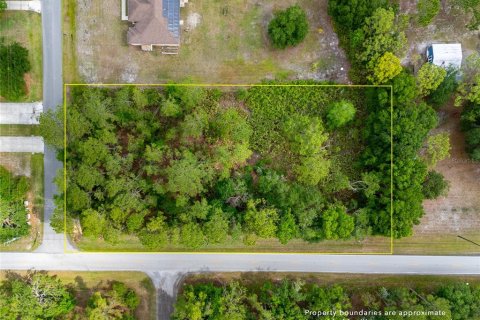 Land in Wesley Chapel, Florida № 1742932 - photo 7