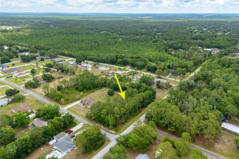 Land in Wesley Chapel, Florida № 1742932 - photo 6
