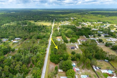 Land in Wesley Chapel, Florida № 1742932 - photo 3