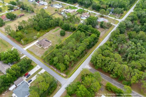 Land in Wesley Chapel, Florida № 1742932 - photo 4