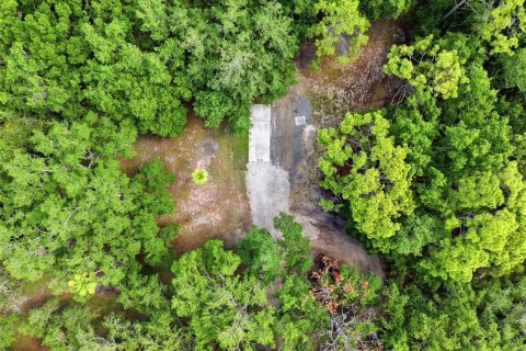 Land in Ruskin, Florida № 2132936 - photo 7