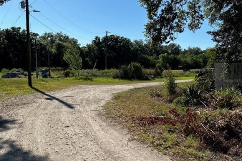 Land in Ruskin, Florida № 2132936 - photo 13