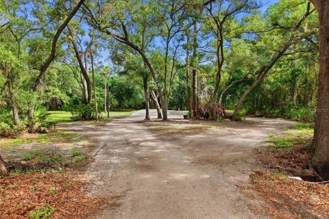 Land in Ruskin, Florida № 2132936 - photo 3