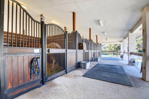Casa en venta en Wellington, Florida, 13 dormitorios, 494.05 m2 № 2249174 - foto 8