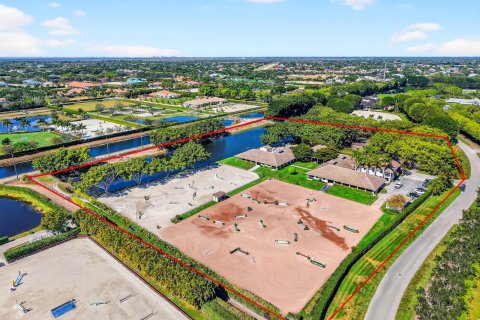 Casa en venta en Wellington, Florida, 13 dormitorios, 494.05 m2 № 2249174 - foto 4