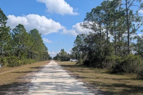 Land in Indian lake estates, Florida № 2165797 - photo 6