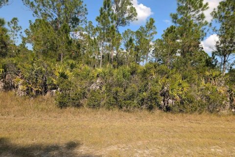 Land in Indian lake estates, Florida № 2165797 - photo 5