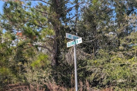 Land in Indian lake estates, Florida № 2165797