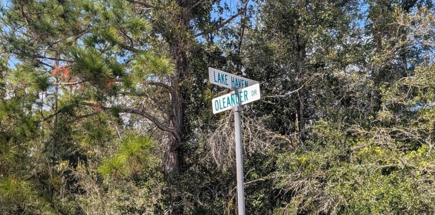 Land in Indian lake estates, Florida № 2165797