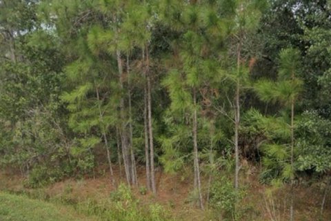 Terrain à Poinciana, Floride № 2213514