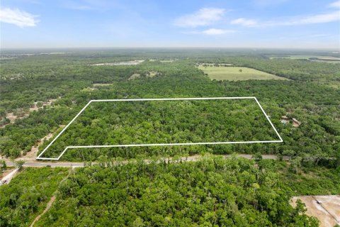 Land in Old Town, Florida № 1663196 - photo 1