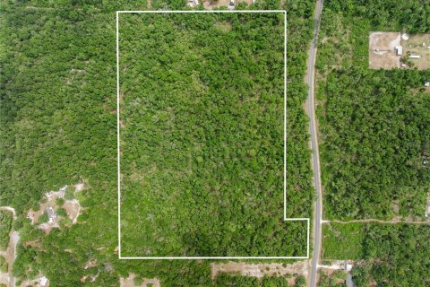 Land in Old Town, Florida № 1663196 - photo 2