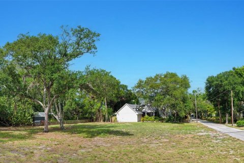 Land in Sarasota, Florida № 2214104