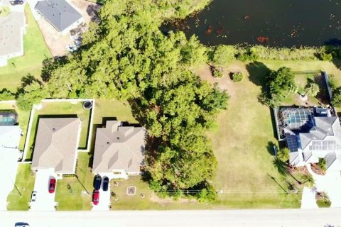 Land in Palm Coast, Florida № 1742808 - photo 6