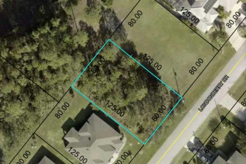 Land in Palm Coast, Florida № 1742808 - photo 2