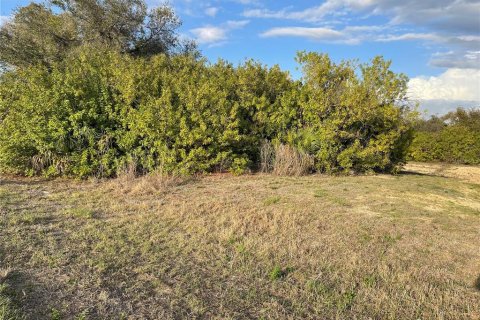 Land in North Port, Florida № 2163851 - photo 2