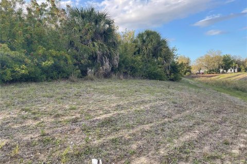 Land in North Port, Florida № 2163851 - photo 4