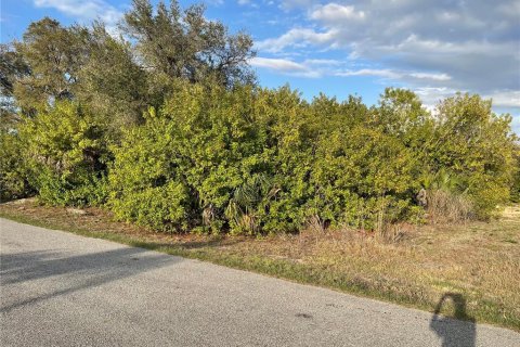 Land in North Port, Florida № 2163851 - photo 3