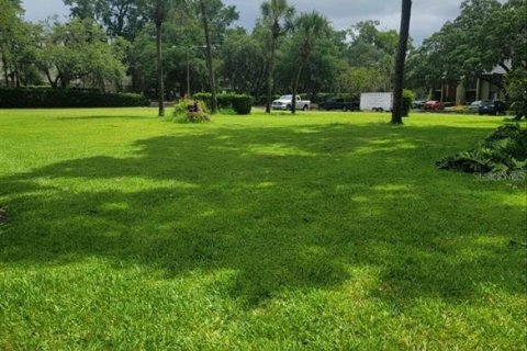 Land in Altamonte Springs, Florida № 1800017 - photo 6