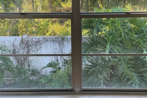 Condo in Clearwater, Florida, 1 bedroom № 2437367 - photo 13