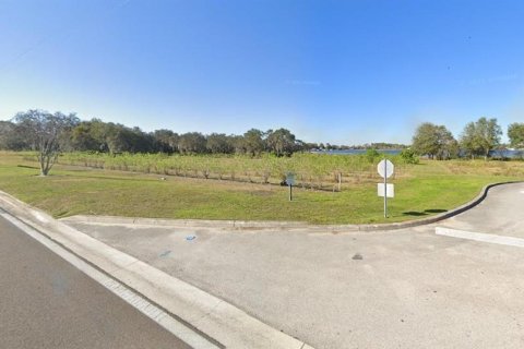 Terreno en venta en Winter Haven, Florida № 1912452 - foto 3