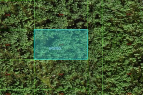 Terreno en Polk City, Florida № 2164081