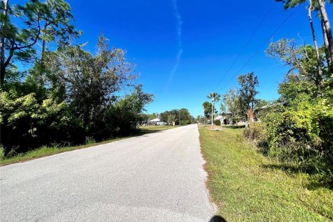 Land in Punta Gorda, Florida № 2160121 - photo 3