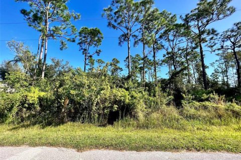 Land in Punta Gorda, Florida № 2160121