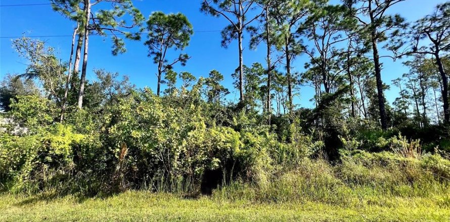 Land in Punta Gorda, Florida № 2160121
