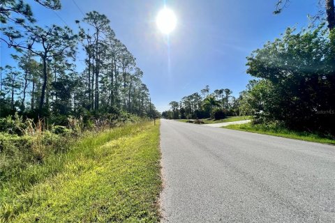 Land in Punta Gorda, Florida № 2160121 - photo 2