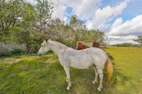 Terreno en venta en Wimauma, Florida № 1901054 - foto 18