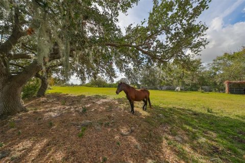 Terreno en venta en Wimauma, Florida № 1901054 - foto 8