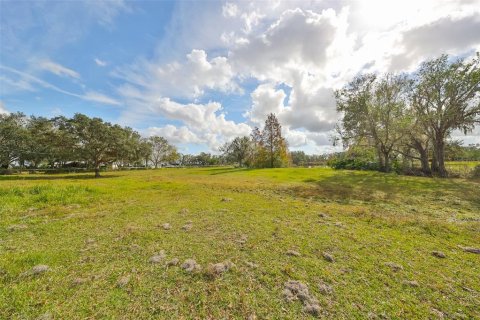 Terreno en venta en Wimauma, Florida № 1901054 - foto 4